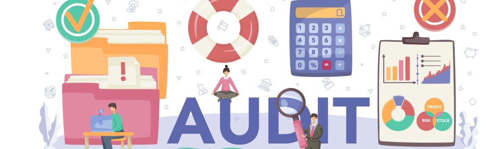 Internal Audit Services | MIMOiQ