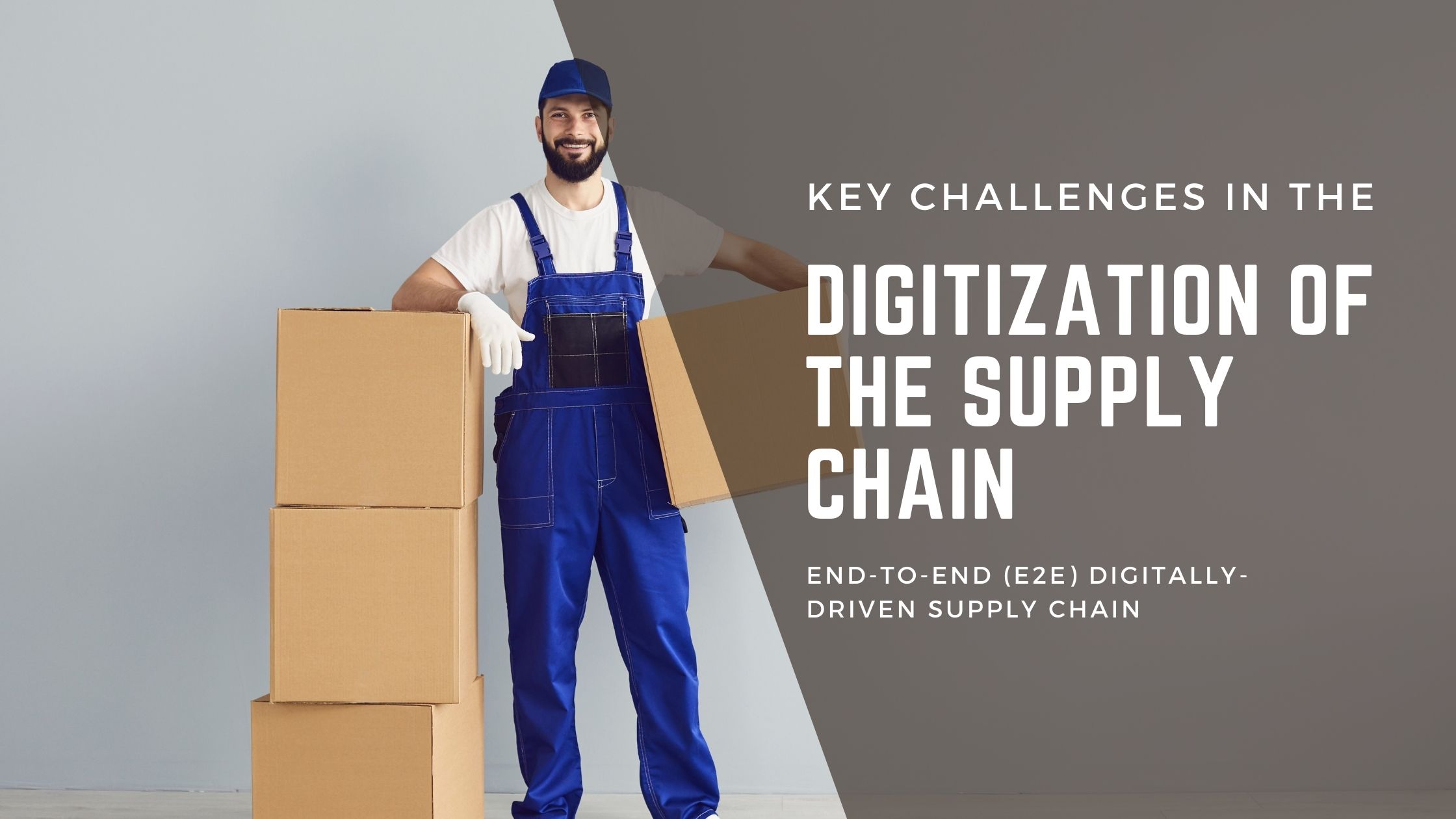 Digitization of the Supply Chain